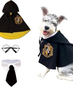 3PCS Halloween Dog Wizard Costume Set