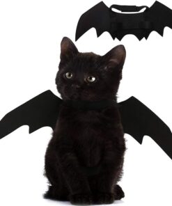 Pet Cat Bat Wings for Halloween