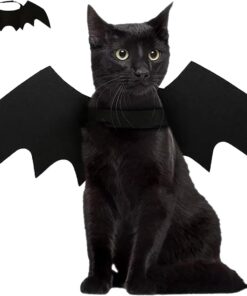 Halloween Pet Bat Wings