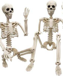 36 Inch Halloween Skeleton 2 Pack